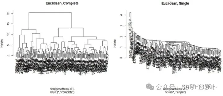 A dendrogram with dozens of samples