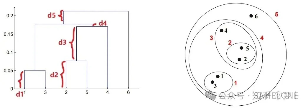 Tree height and extending branches