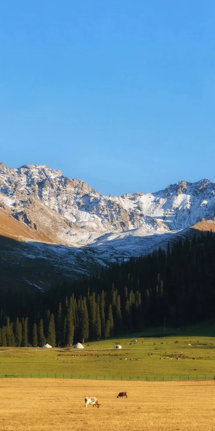 Source photo of blue sky, snowy mountains, trees, and meadow