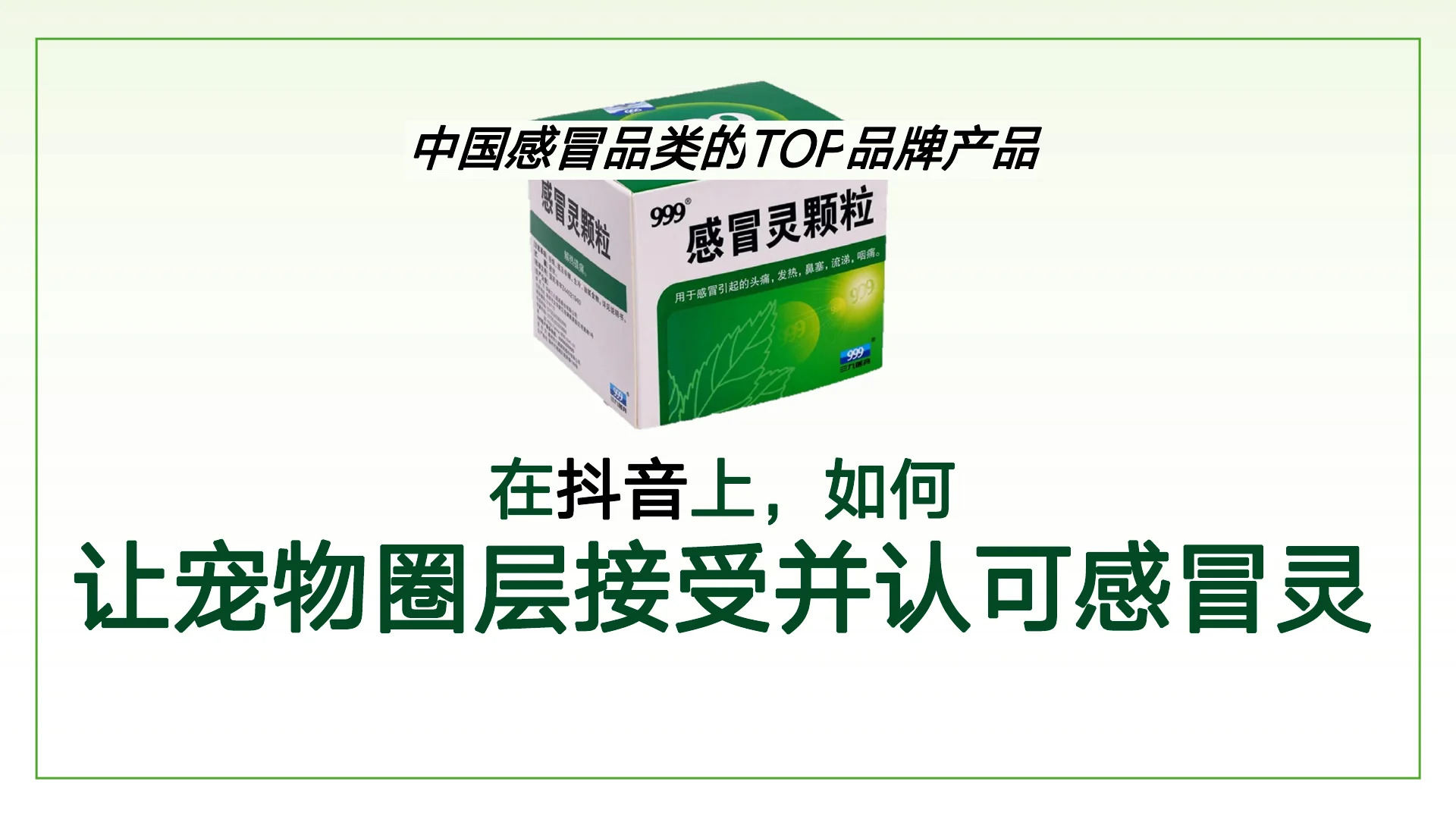 999感冒灵抖音萌宠圈层KOL内容营销方案 · 第 5 页