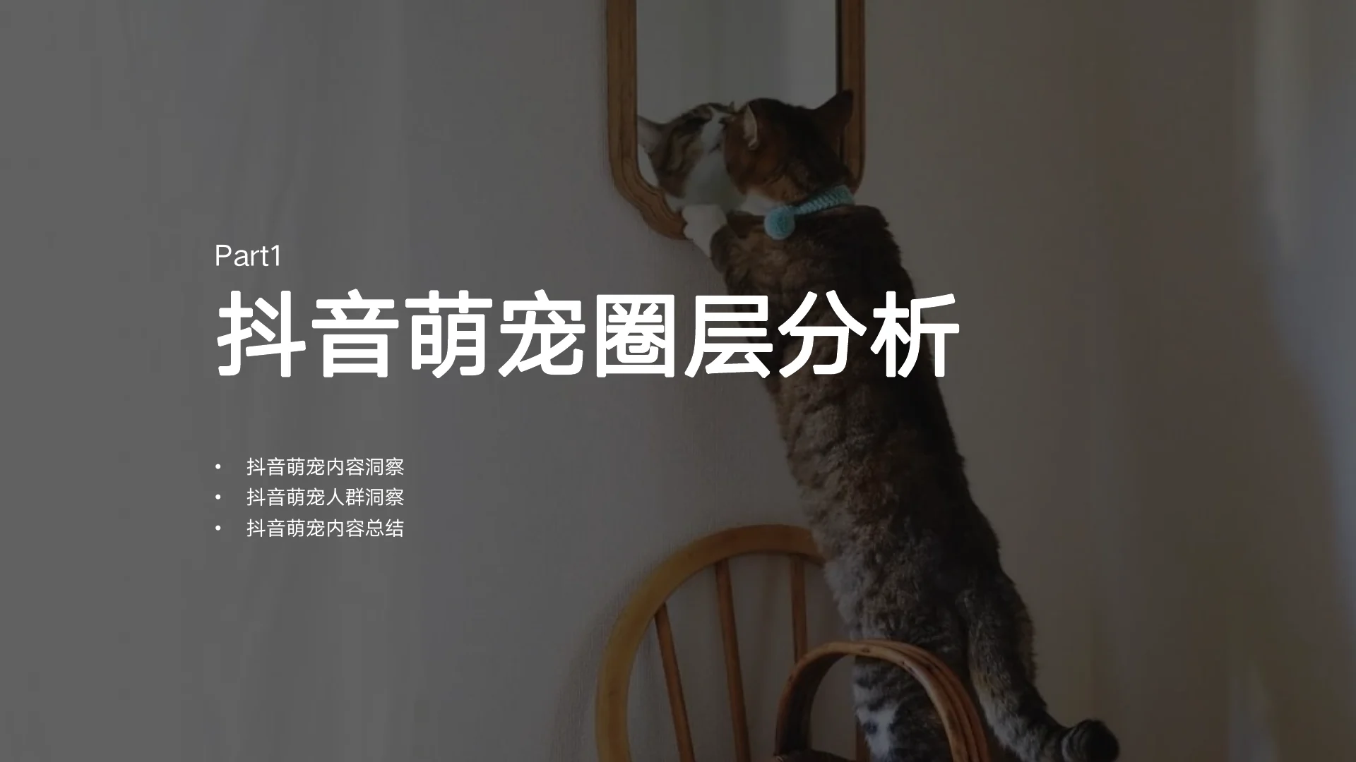 999感冒灵抖音萌宠圈层KOL内容营销方案 · 第 6 页