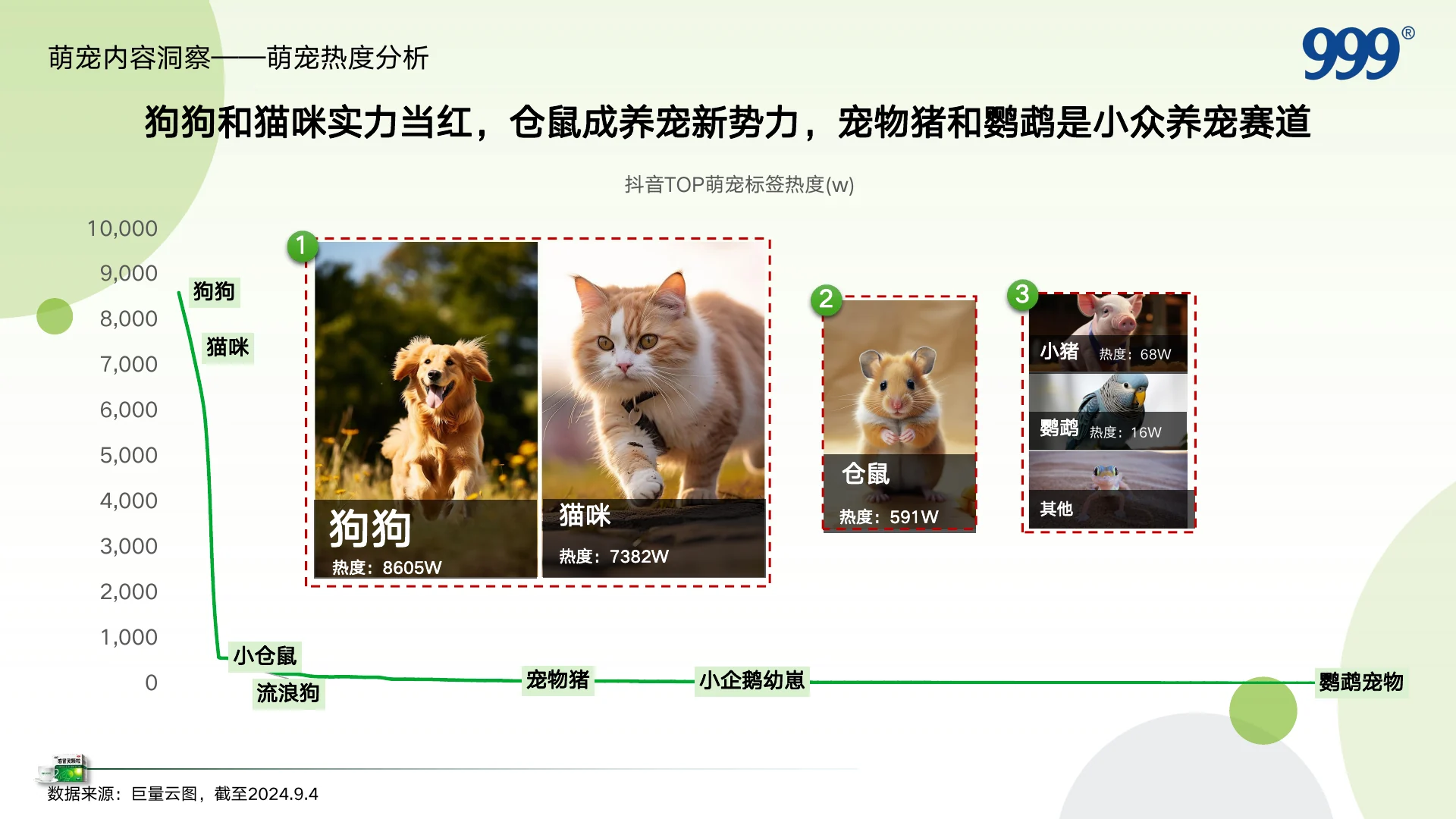 999感冒灵抖音萌宠圈层KOL内容营销方案 · 第 7 页