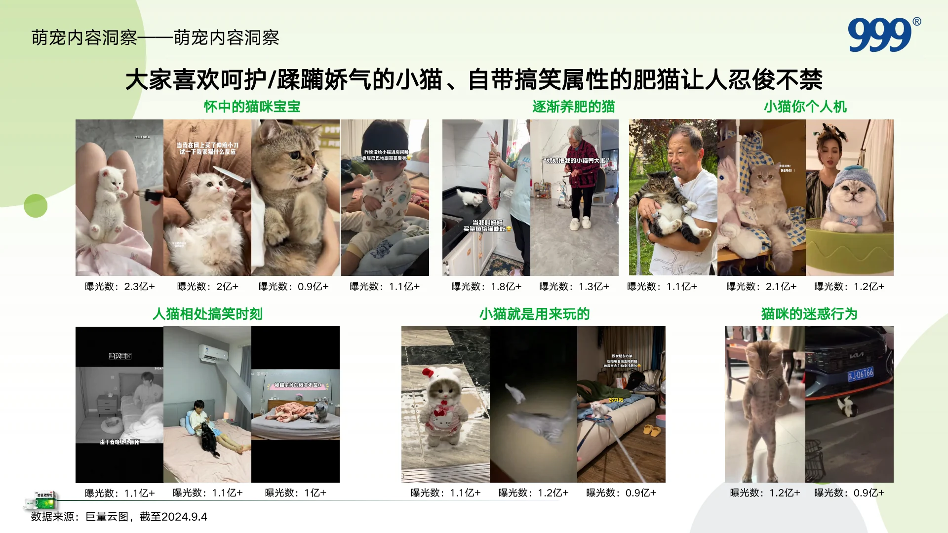 999感冒灵抖音萌宠圈层KOL内容营销方案 · 第 9 页