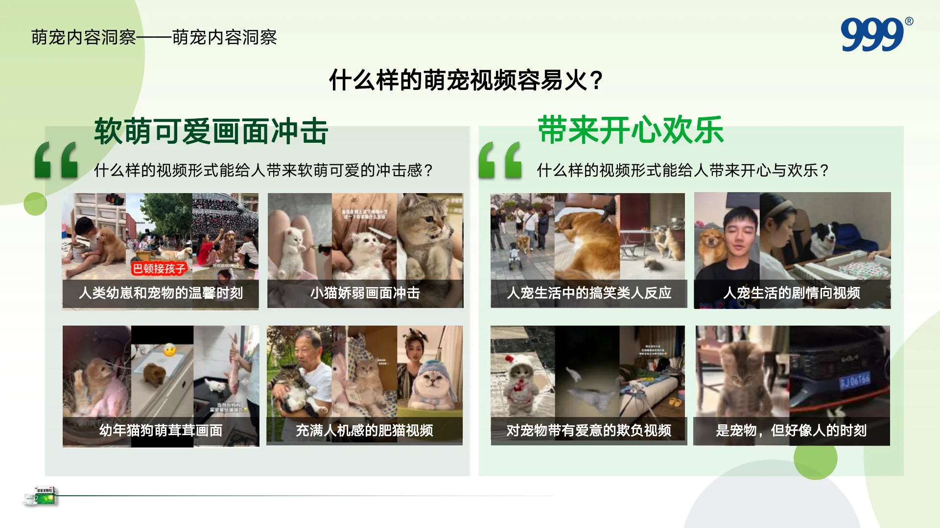 999感冒灵抖音萌宠圈层KOL内容营销方案 · 第 10 页