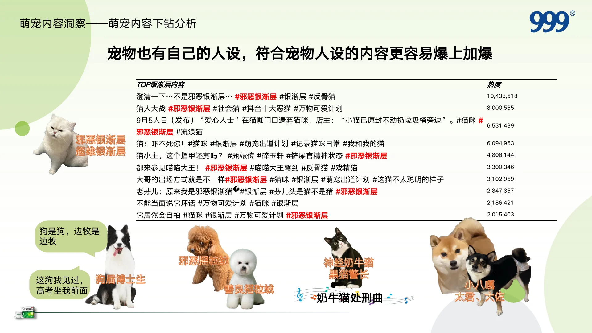 999感冒灵抖音萌宠圈层KOL内容营销方案 · 第 11 页