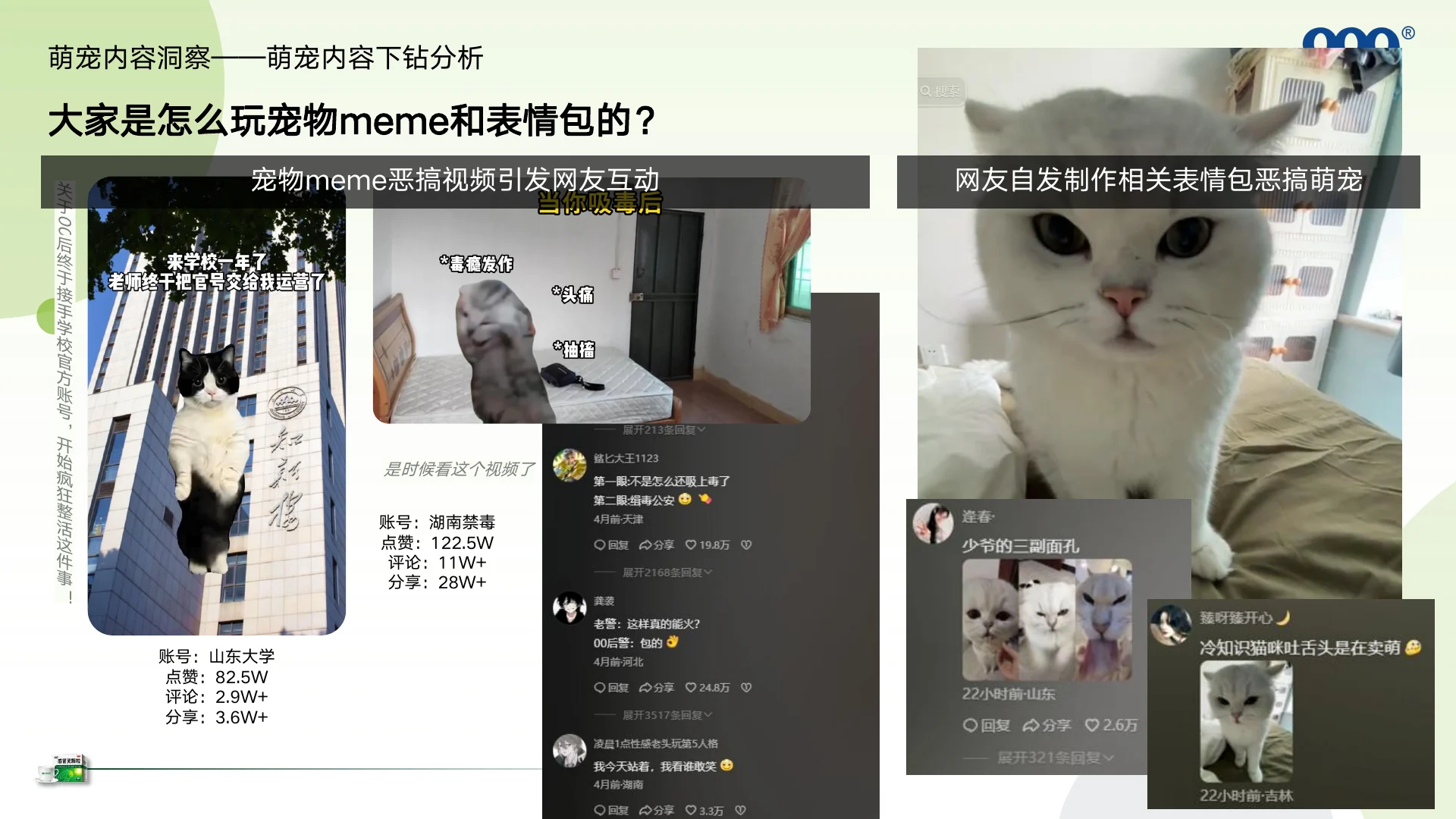 999感冒灵抖音萌宠圈层KOL内容营销方案 · 第 13 页